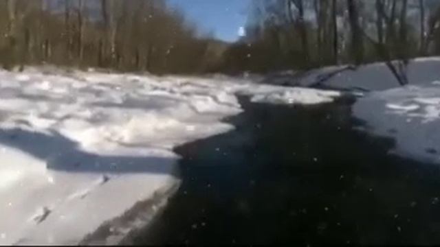 Все про тигра.Интересные факты. смотреть онлайн