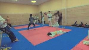 Круговая тренировка, олимпийское каратэ