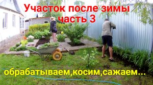 Весенняя уборка на участке. ЧАСТЬ 3(обрабатываем, косим, сажаем)