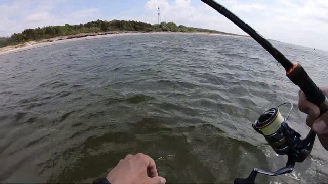 Super клёв !!!!!Pыбалка Сарган  в  Балтийском море с берега.