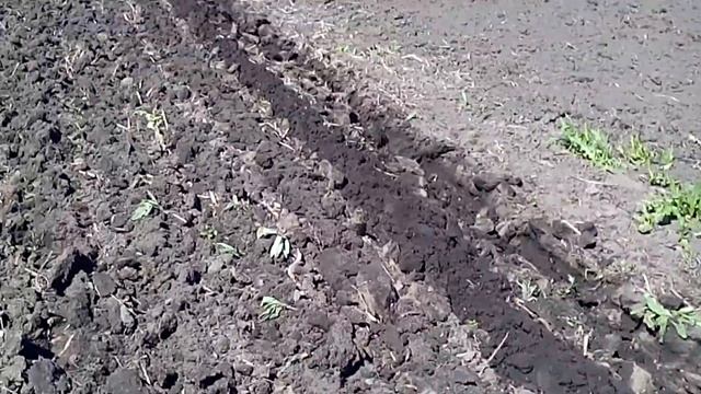 Самоделка из мотоблока Аврора - 2 смотреть онлайн