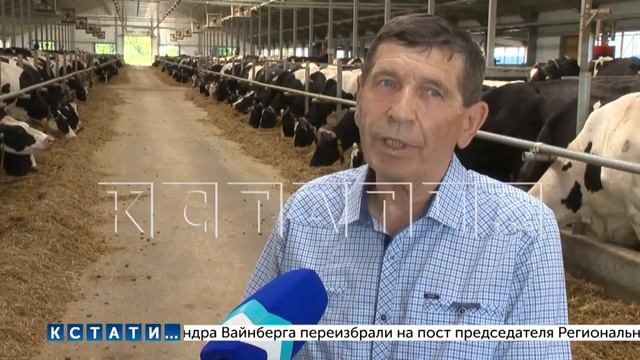 Крупный животноводческий комплекс введен в эксплуатацию в Большом Болдине