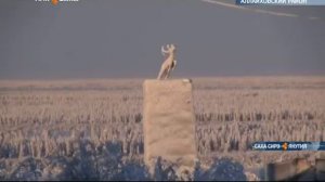 С рабочим визитом, в Аллаиховском улусе побывала группа Правительства Республики