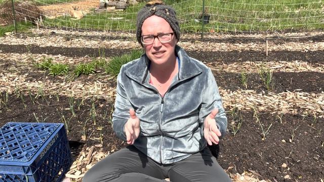 5 Tips/Tricks On How To Grow Larger Onions At Home | Zone 8b PNW