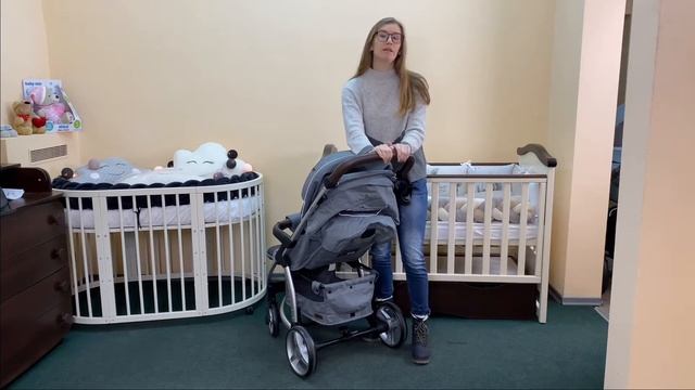 Прогулочная коляска CARRELLO VISTA