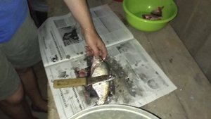 Способ быстро почистить леща