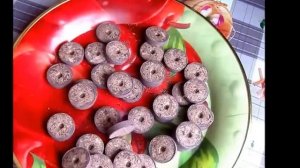 Торфяные таблетки. Для чего нужны и как их использовать