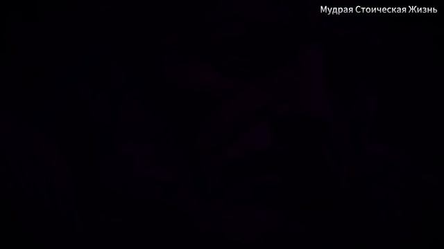 9 Социальных навыков, которые используют старшие мужчины, чтобы женщины стали зависимы от них Стоик