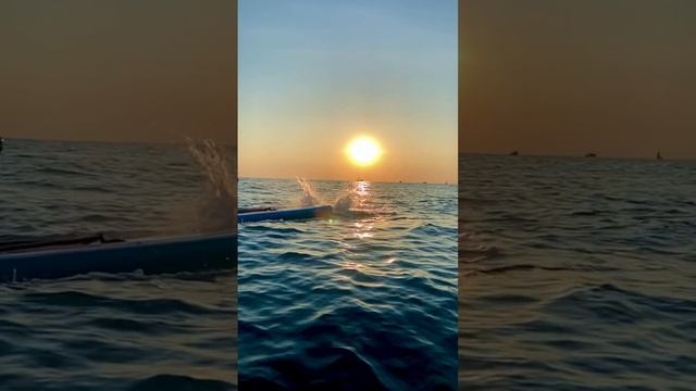 Сальто назад #supboard #sup #сукко #анапа #sea #сапборд #сап #витязево смотреть онлайн