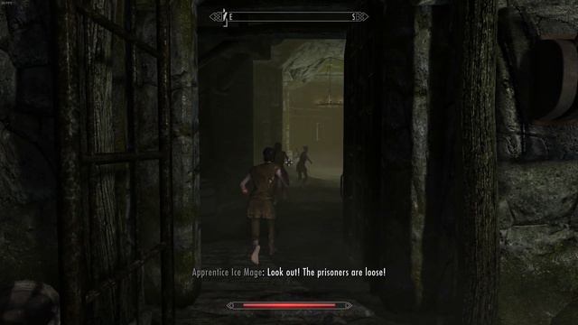 Skyrim Vampire Prisoners Revenge! смотреть онлайн