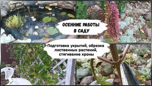 Осенние работы в саду.