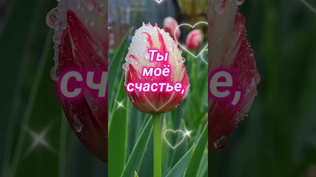 ТЫ МОЁ СЧАСТЬЕ ♥️ #любовь #love #смс #gpostcardsmusical4u #видеооткрытки смотреть онлайн