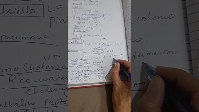 Proteus, Pseudomonas, Klebsiella, Vibrio cholerae смотреть онлайн