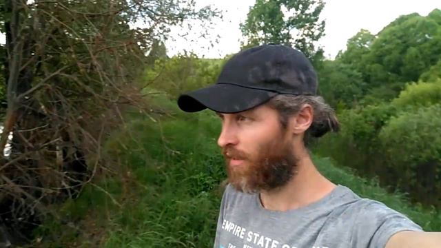 Приглашение на Хвостатый Драйв и подготовка к соревнованиям смотреть онлайн