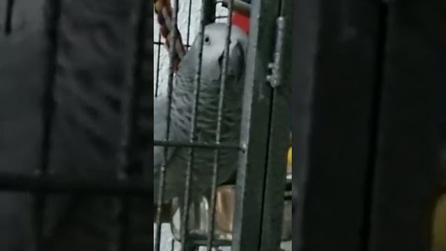 Кирочка собралась спать. смотреть онлайн