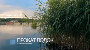 База отдыха Алёнушка