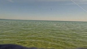 Силлага,тригла,камбала и зонт, Морская рыбалка в Южной Корее.