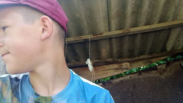 Сенник// Люцерна// Продажи// Петушки// Планы!!!! смотреть онлайн