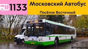 Информатор Автобуса 1133