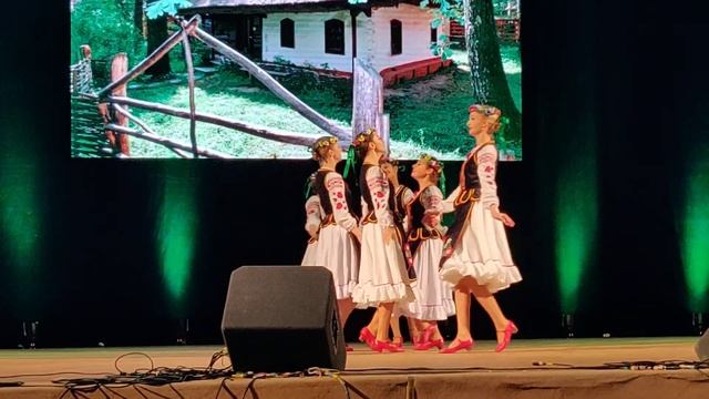 Народный ансамбль танца Политехник. Folk Dance Ensemble Polytechnic