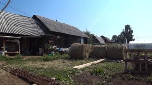 Как мы заготавливаем сено
