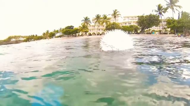 ЕЁ ЯД СПОСОБЕН УБИТЬ ДО 30 ЧЕЛОВЕК. ИНТЕРЕСНЫЕ ФАКТЫ О РЫБЕ ФУГУ смотреть онлайн