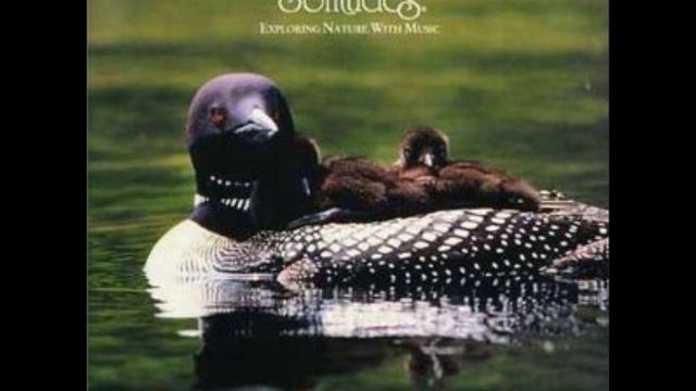 Dan Gibson's Solitude ~ Loon Echo Lake 6 смотреть онлайн