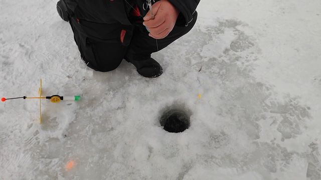 Рыбалка в Красногорске, Спортзона смотреть онлайн