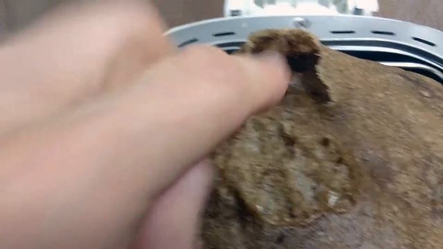 Французский солодовый хлеб в хлебопечке gorenje bm910wii. Солод "сто пудов" смотреть онлайн