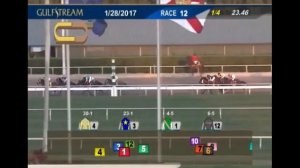 САМАЯ ДОРОГАЯ СКАЧКА В МИРЕ! PEGASUS WORLD CUP