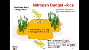 Life in the Mud: Relevance to Food Security, Climate Change, and Water Quality