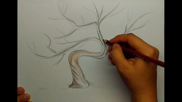 Как нарисовать осеннее дерево (рисуем осень) смотреть онлайн