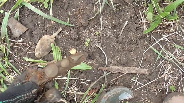 Раскопки места, где стоял дом! смотреть онлайн