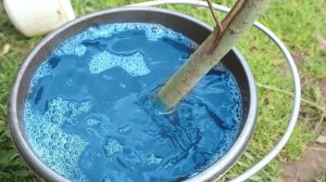 500 Грамм мочевины  500 грамм купороса супер средство поздней осенью.