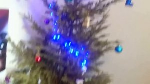 Что нужно, чтобы Ёлка долго стояла! Увлажняем.