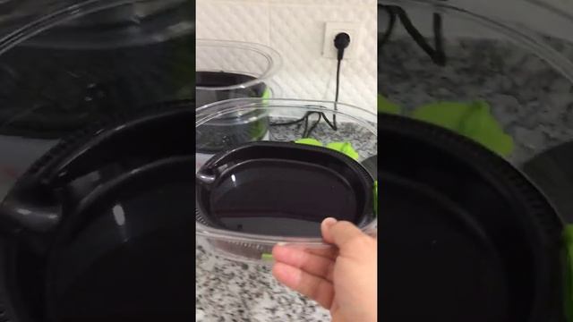 Tefal buharlı pişirme makinesi kurulumu смотреть онлайн