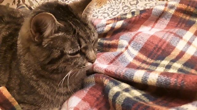 Сижу, в ухе гвоздиком ковыряю...Вдруг " бац"- звук пропал. смотреть онлайн