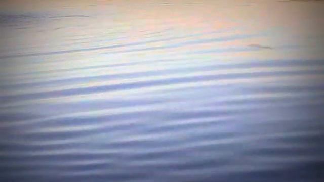 прикол охота на бутылку смотреть онлайн