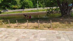 Прогулка по набережной Карповки. Новый парк.