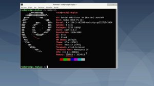 Rock Pi 4C plus NVMe, eMMC y 6 Núcleos, análisis e instalación de Debian y Ubuntu