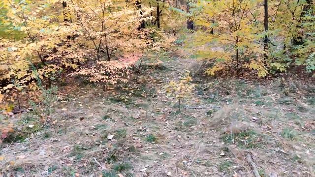 ✅?ВЗРЫВАЕМ НАБОР МОЩНЫХ РАКЕТ И ПЕТАРД Diablo?Обзор и тест бомбочек с набора?Ночтой запуск Ракет смотреть онлайн