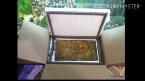 Шумоизоляция аквариумного компресора / Acoustic insulation of aquarium compressor