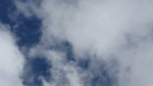 Лохманогие бойные азиатские голуби в точке.