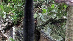 Окружающий мир. Рабочая тетрадь 4 класс 1 часть. ГДЗ стр. 21 №4