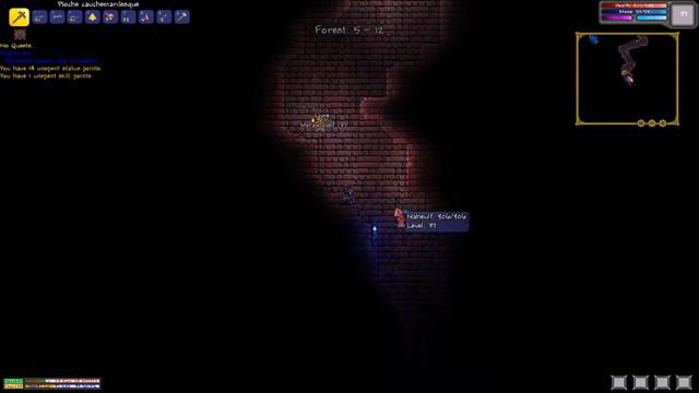 N-Terraria: Ep6 Sac dos! - fr