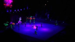 Цирковое шоу Морозко