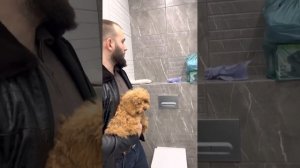 Косметический ремонт, в ЖК ЮТТА??как сделать ремонт квартиры не дорого и красиво.