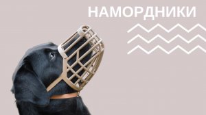 Как правильно выбрать намордник?