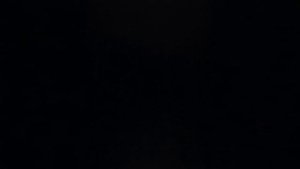 Радик Юльякшин — Бәхет Ҡошо