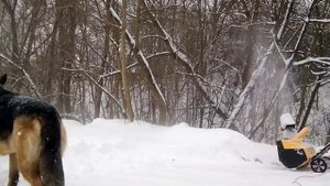 Электрический снегоуборщик